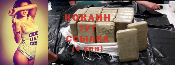ALPHA PVP Гусев