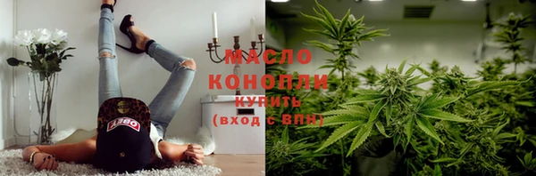 ECSTASY Гусь-Хрустальный