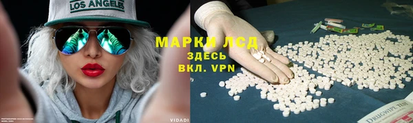 ALPHA PVP Гусев