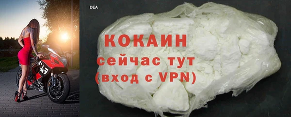 ECSTASY Гусь-Хрустальный