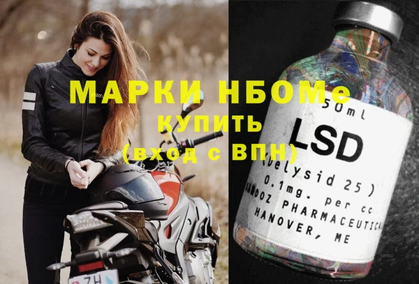 ECSTASY Гусь-Хрустальный