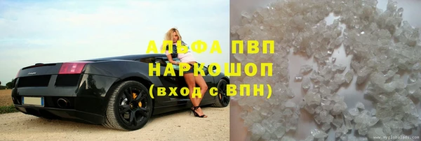 ECSTASY Гусь-Хрустальный