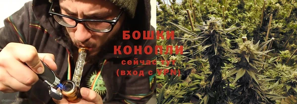 ALPHA PVP Гусев